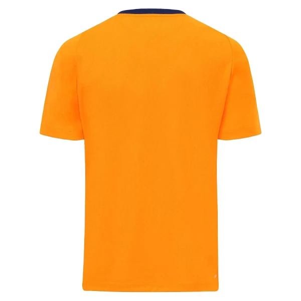 Cardiff City Fotbollströja Tredje 2025/26
