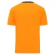 Cardiff City Fotbollströja Tredje 2025/26