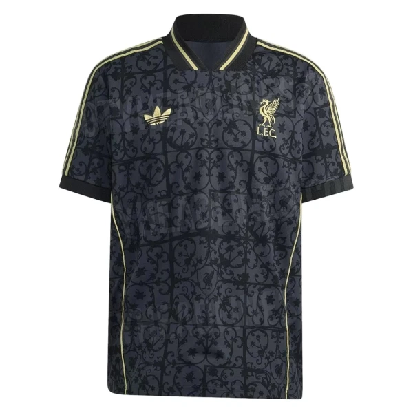 Liverpool Lifestyle Fotbollströja 2025/26 - Speciell
