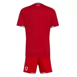 Wales Fotbollströja Barn Hemma VM 2026