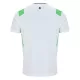 Irland Fotbollströja Borta 2026/27