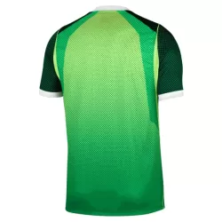 Nigeria Fotbollströja Hemma 2026/27