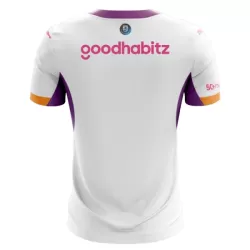 PSV Eindhoven Fotbollströja Borta 2026/27