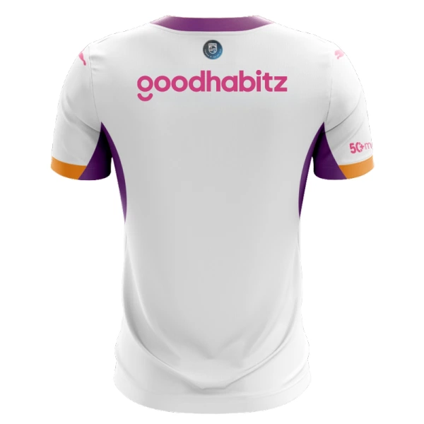 PSV Eindhoven Fotbollströja Borta 2026/27