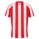 Sunderland Fotbollströja Hemma 2026/27