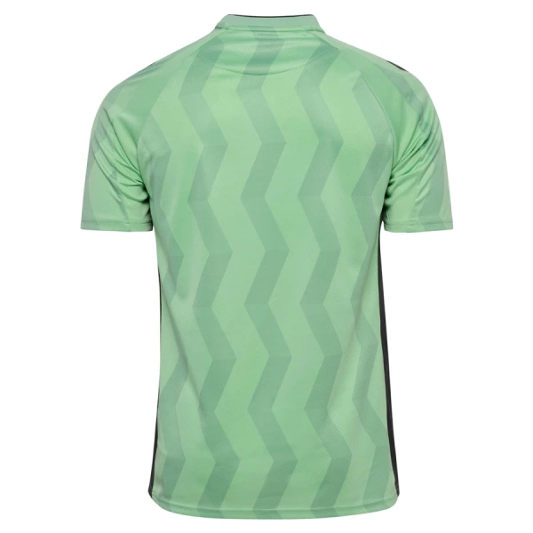 AS Saint-Étienne Fotbollströja Tredje 2026/27