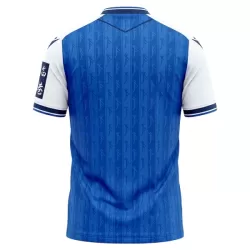 TSG 1899 Hoffenheim Fotbollströja Hemma 2026/27