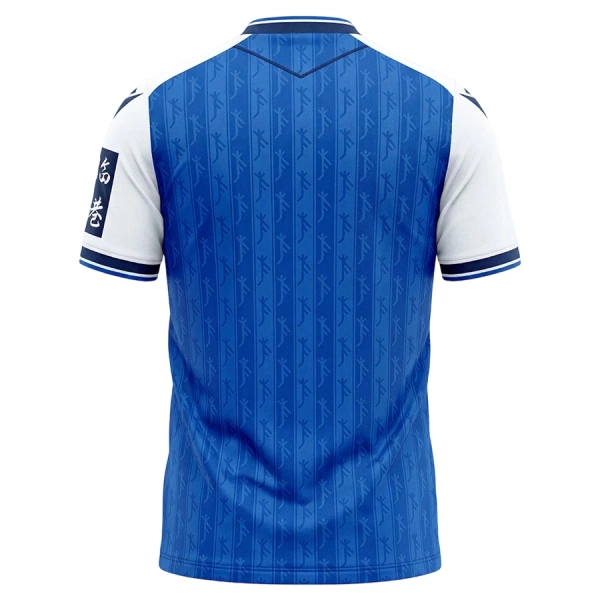 TSG 1899 Hoffenheim Fotbollströja Hemma 2026/27