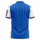 TSG 1899 Hoffenheim Fotbollströja Hemma 2026/27
